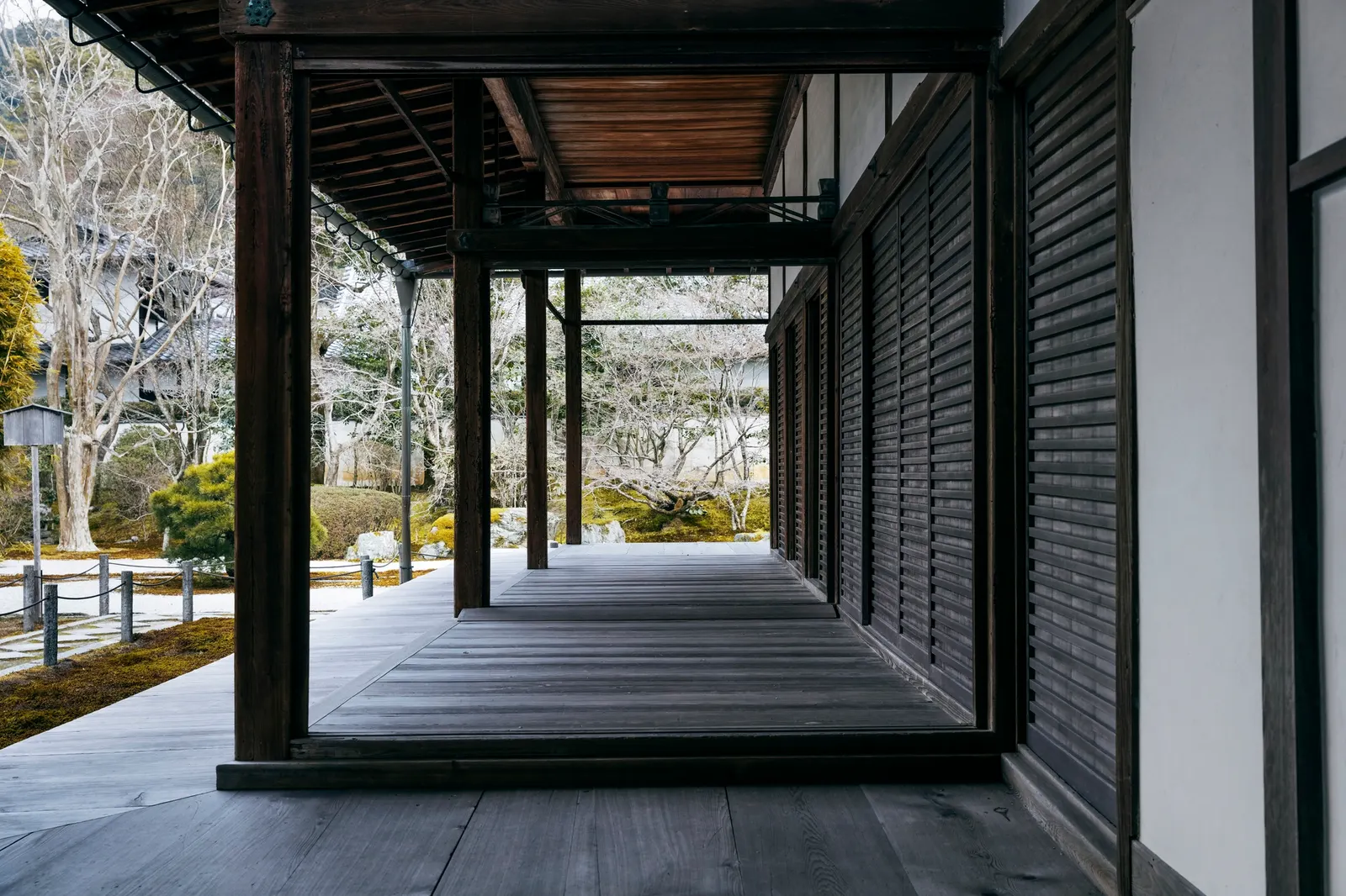 Louvered aluminum pergola shading an outdoor kitchen in Pilot Point, TX